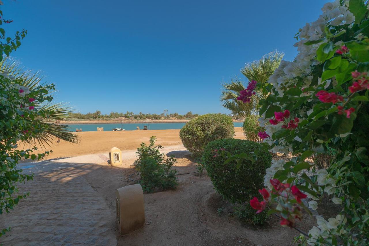 El Gouna 1 Bedroom Apartment West Golf Ground Floor 洪加達 外观 照片